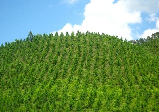 仟億達(dá)天然氣分布式能源利用效率達(dá)70% 仟億達(dá)天然氣分布式能源利用效率達(dá)70%
