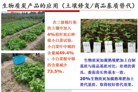 仟億達(dá)生物氣化發(fā)電的明顯社會(huì)效益 仟億達(dá)生物氣化發(fā)電的明顯社會(huì)效益