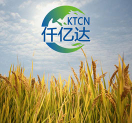 生物質(zhì)多聯(lián)產(chǎn)2 生物質(zhì)多聯(lián)產(chǎn)2